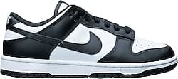 Nike Dunk Low DD1503 Spor Ayakkabı ürün görseli